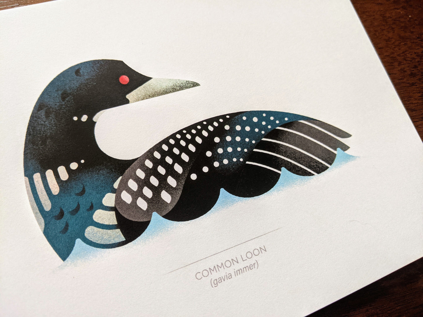 Common Loon – Signed 5x7" Print