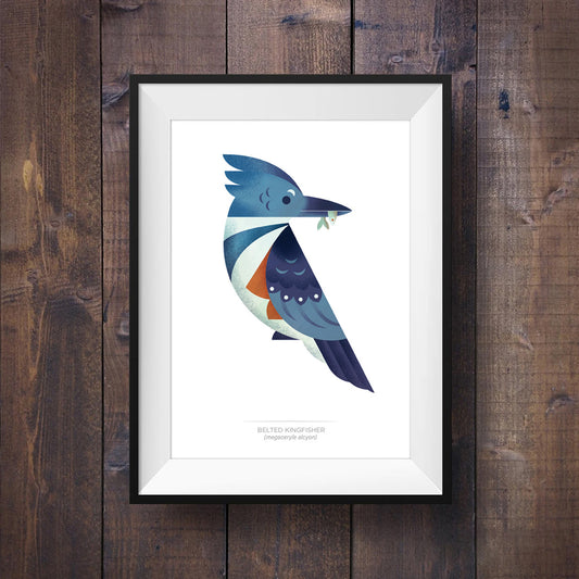 Belted Kingfisher – Signed 5x7" Print
