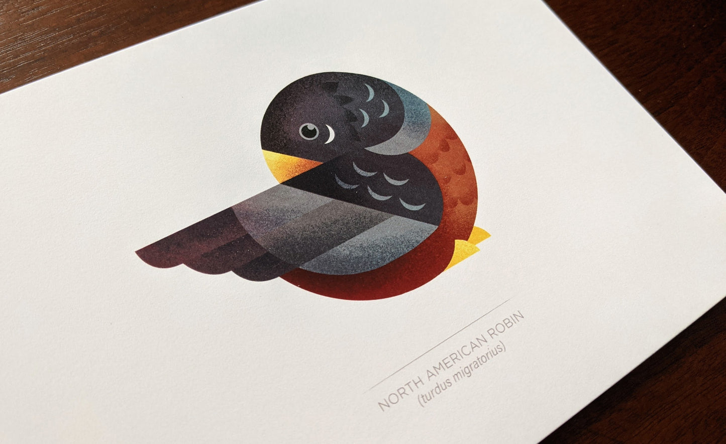 Robin – Signed 5x7" Print