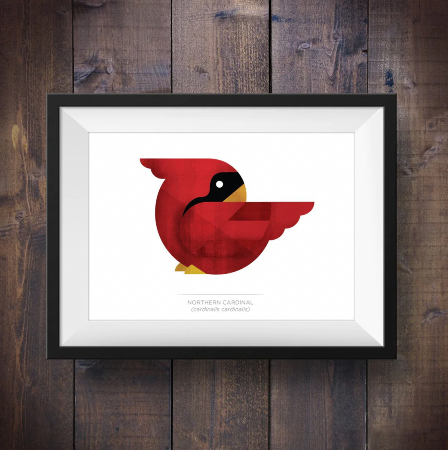 Red Northern Cardinal - Signed Print